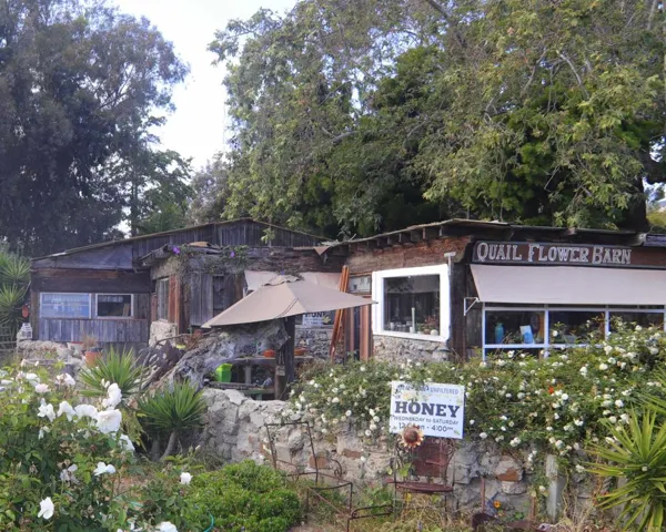 501 Quail Gardens Drive, Encinitas, California 92024