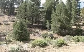 0 Serpentine Drive, Baldwin Lake, California 92314