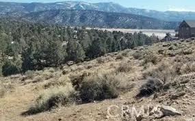 0 Serpentine Drive, Baldwin Lake, California 92314