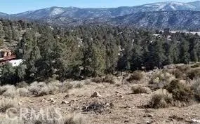 0 Serpentine Drive, Baldwin Lake, California 92314