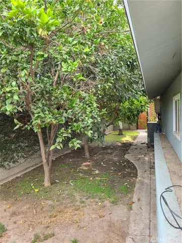 Citrus Tree Garden