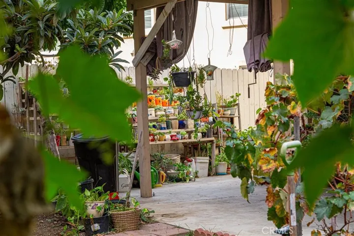 Must see succulent plants.