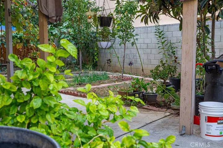 beautiful garden