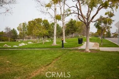 Walkways to explore