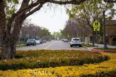 Groomed landscaping