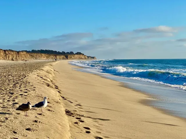 , Half Moon Bay, California 94019