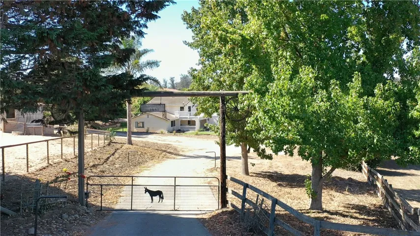 Electronic entry gate
