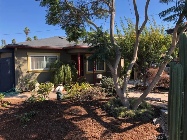 Front Yard