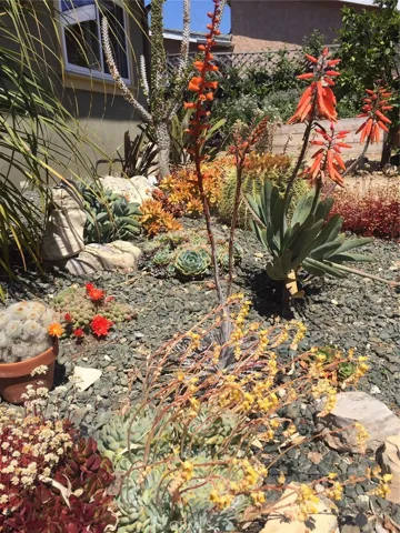 Gardens