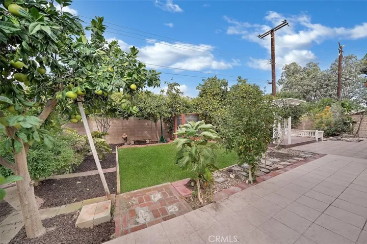 Large grassy area and many fruit trees