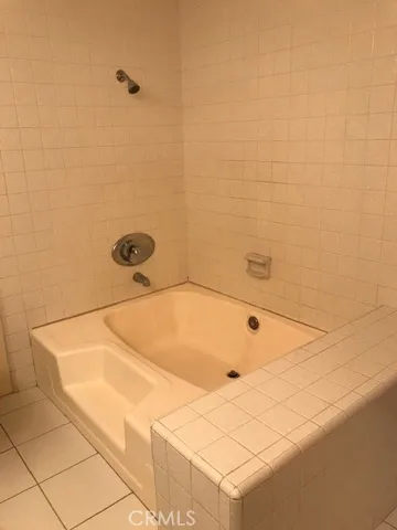 Master bathtub