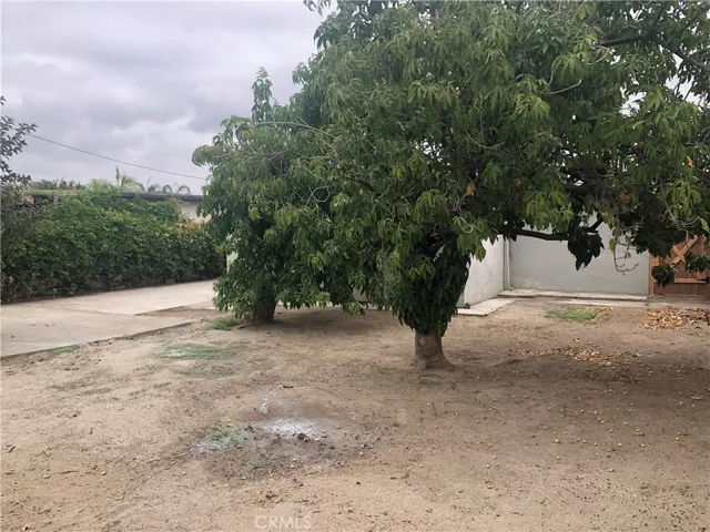 1541 Jantzen Drive, Colton, California 92324