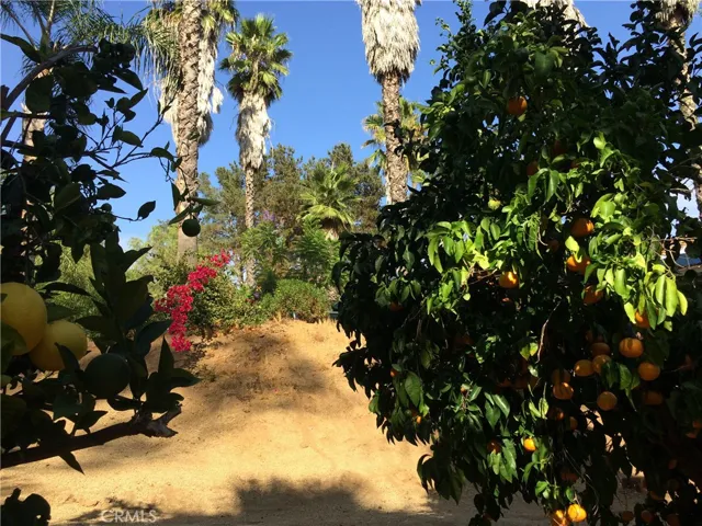 2540 Gird Road, Fallbrook, California 92028