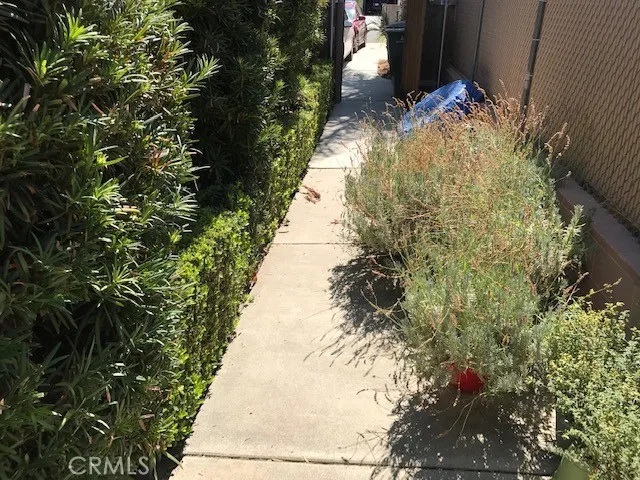 Back Yard Right Side