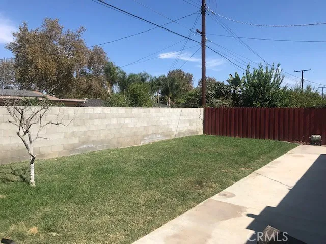 Backyard Grass