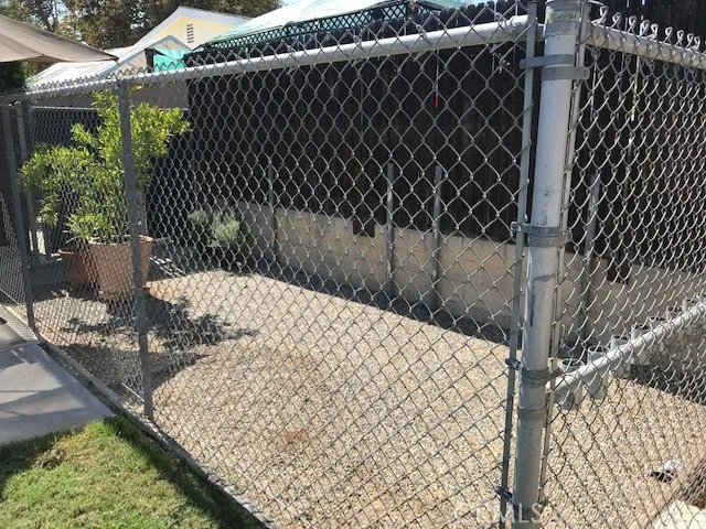 Backyard Large Dog Runner