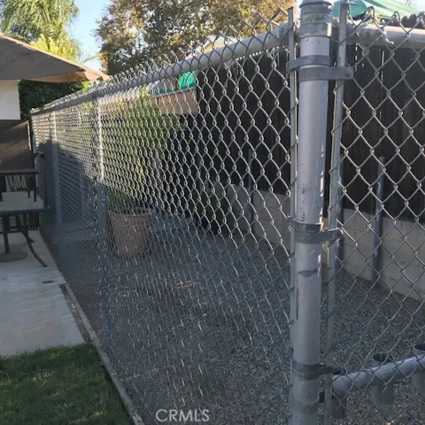 Dog Runner