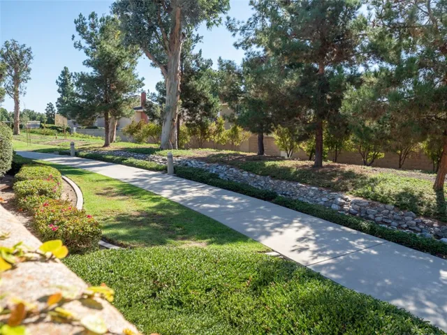 Greenbelt behind house