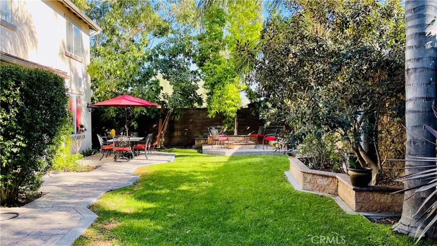 Back yard