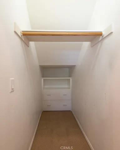 Downstairs Closet