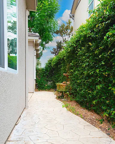 Side Yard / Patio
