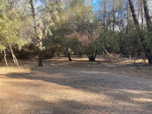 1594 New Long Valley Road, Clearlake Oaks, California 95423