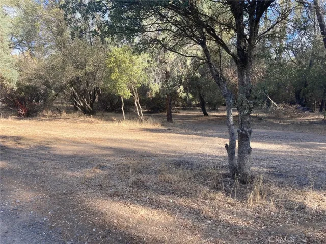 1594 New Long Valley Road, Clearlake Oaks, California 95423