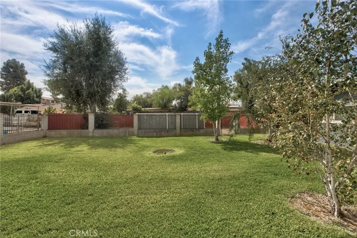 Landscaped backyard with fruit trees