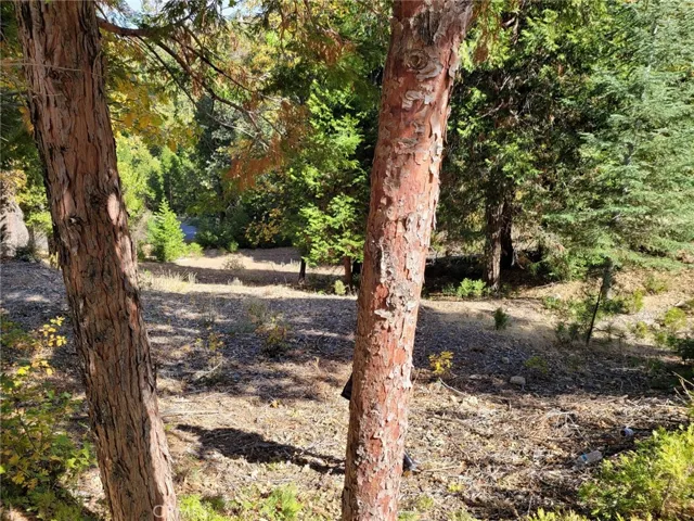 167 Mill Pond Road, Lake Arrowhead, California 92352