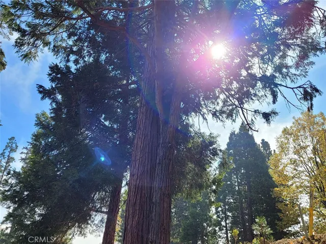 167 Mill Pond Road, Lake Arrowhead, California 92352