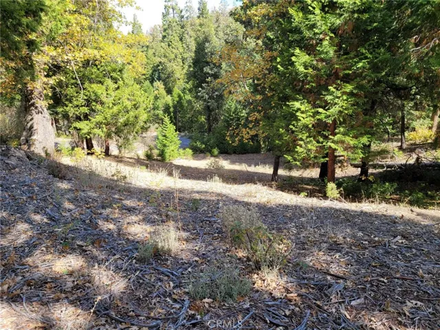167 Mill Pond Road, Lake Arrowhead, California 92352