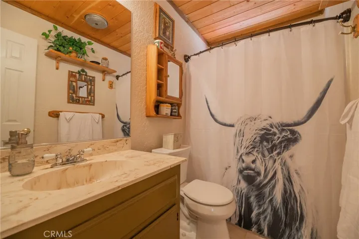 1013 Tinkerbell Avenue, Big Bear, California 92314