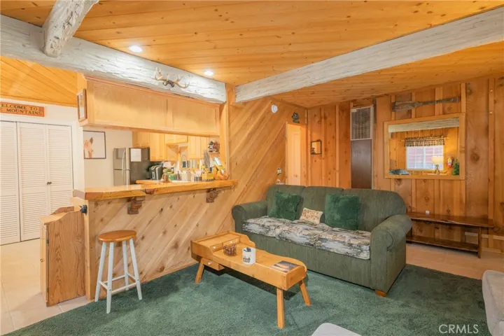 1013 Tinkerbell Avenue, Big Bear, California 92314