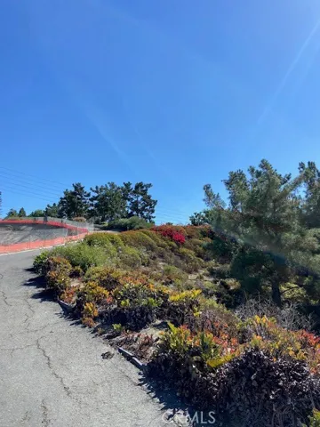 Hiking/walking path in your backyard