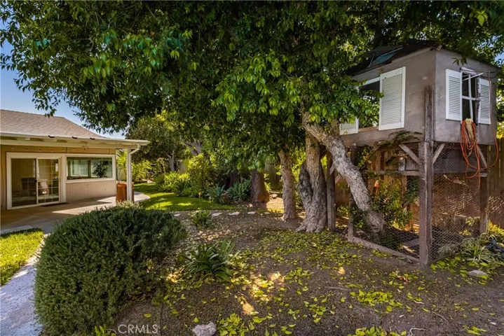 The treehouse is just waiting for new kids to claim it.