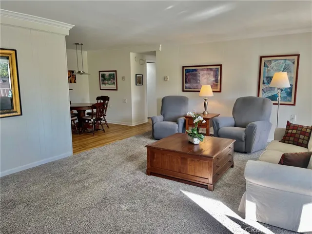 Light and bright living room.
