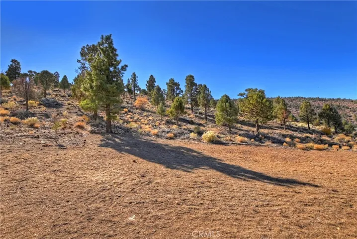 46415 Minnow, Big Bear, California 92314