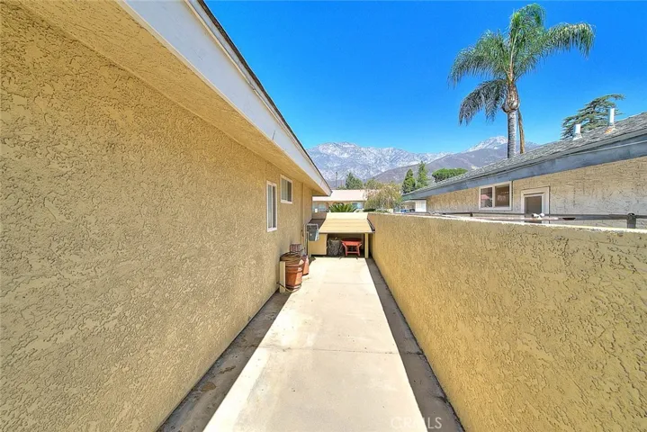 Dog run on the side of the house