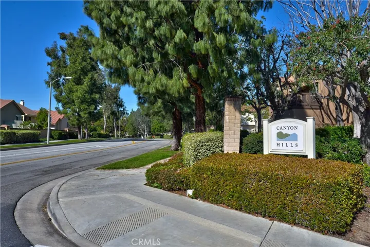 Canyon Hills