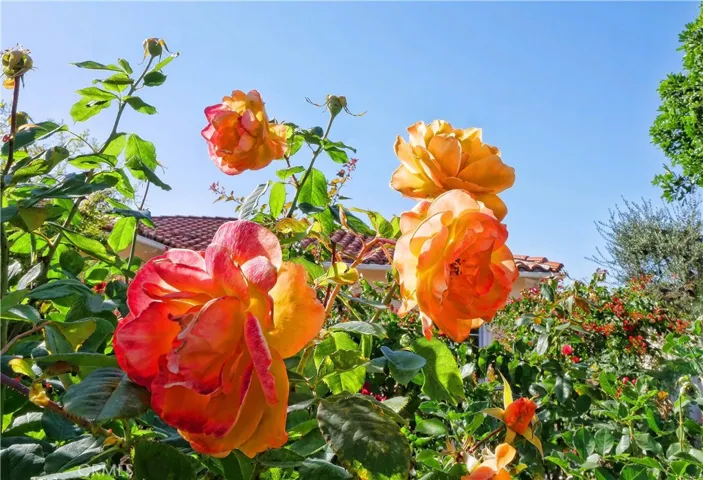 1744 Paseo Del Mar, Palos Verdes Estates, California 90274