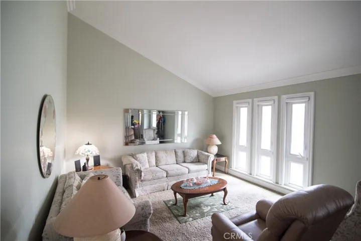 110 N Avenida Segovia, Anaheim Hills, California 92808