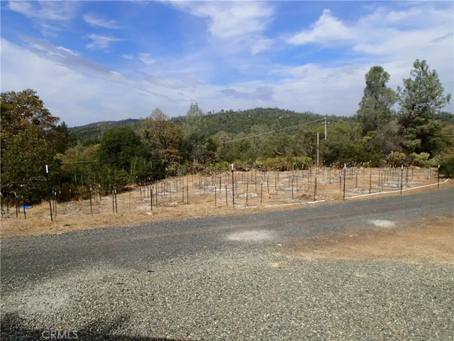 49 Mittens Ln., Oroville, California 95966