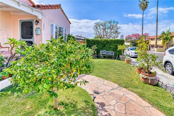 225 Avenida Victoria, San Clemente, California 92672