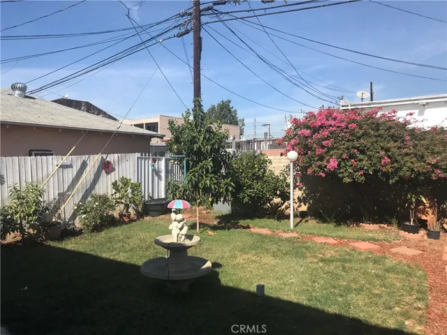 Backyard 1