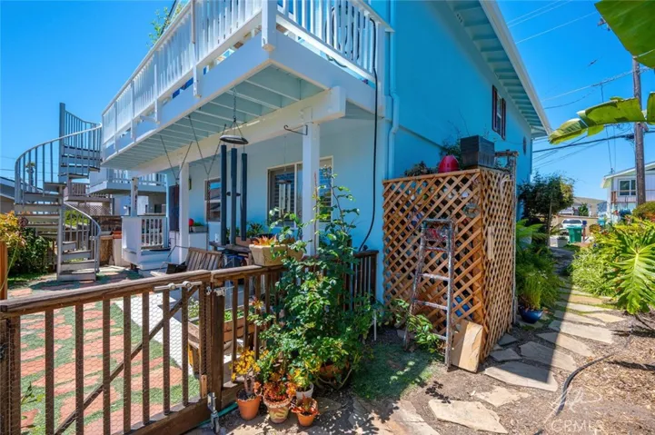 Left Side Yard