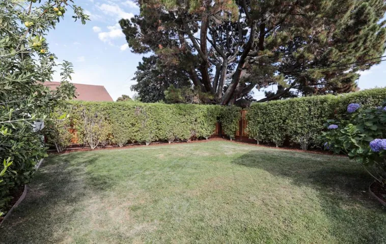 , Mountain View, California 94041