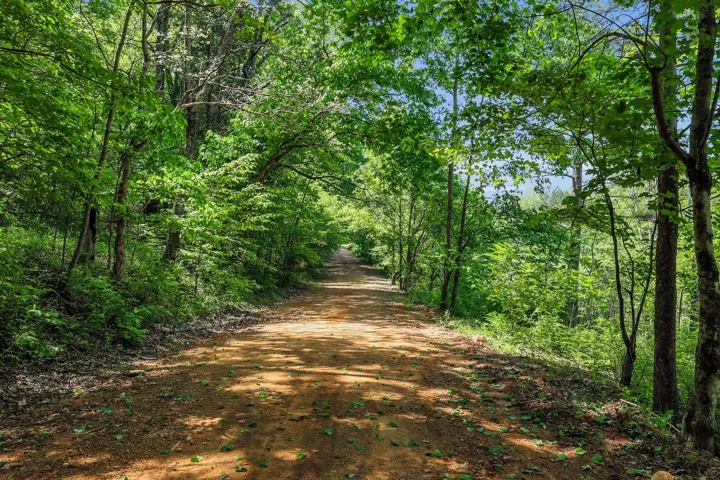 Meticulous Road and Trail System throughout the Property.