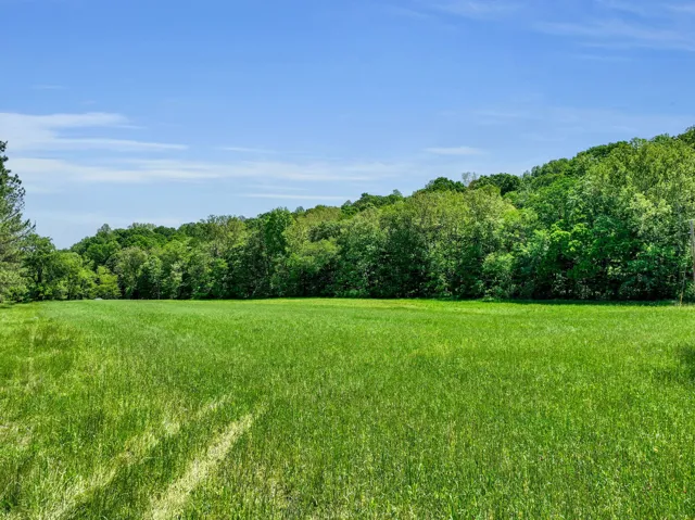Food Plot.