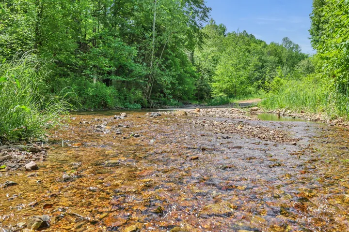 Spring feed creeks and Branches throughout the Property.