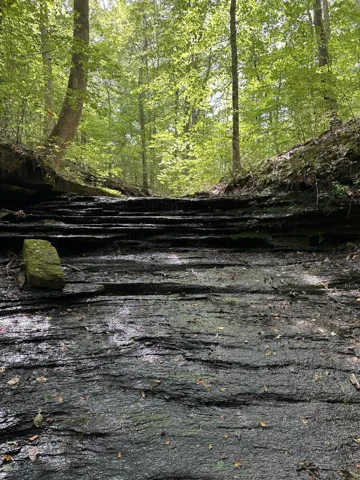small falls past the observation point